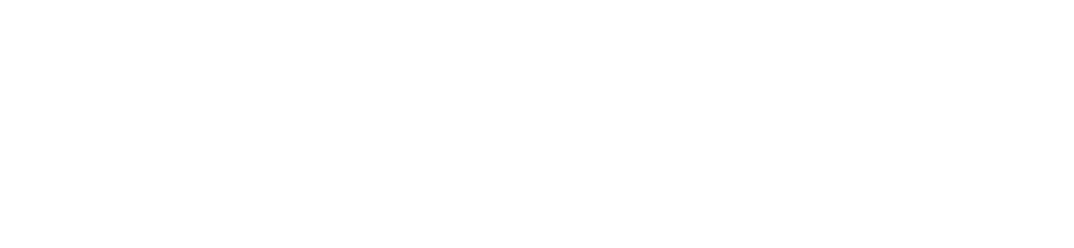 MSK_logo_blanco